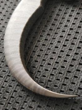 Preview: Raidops XXL Eagle Talon